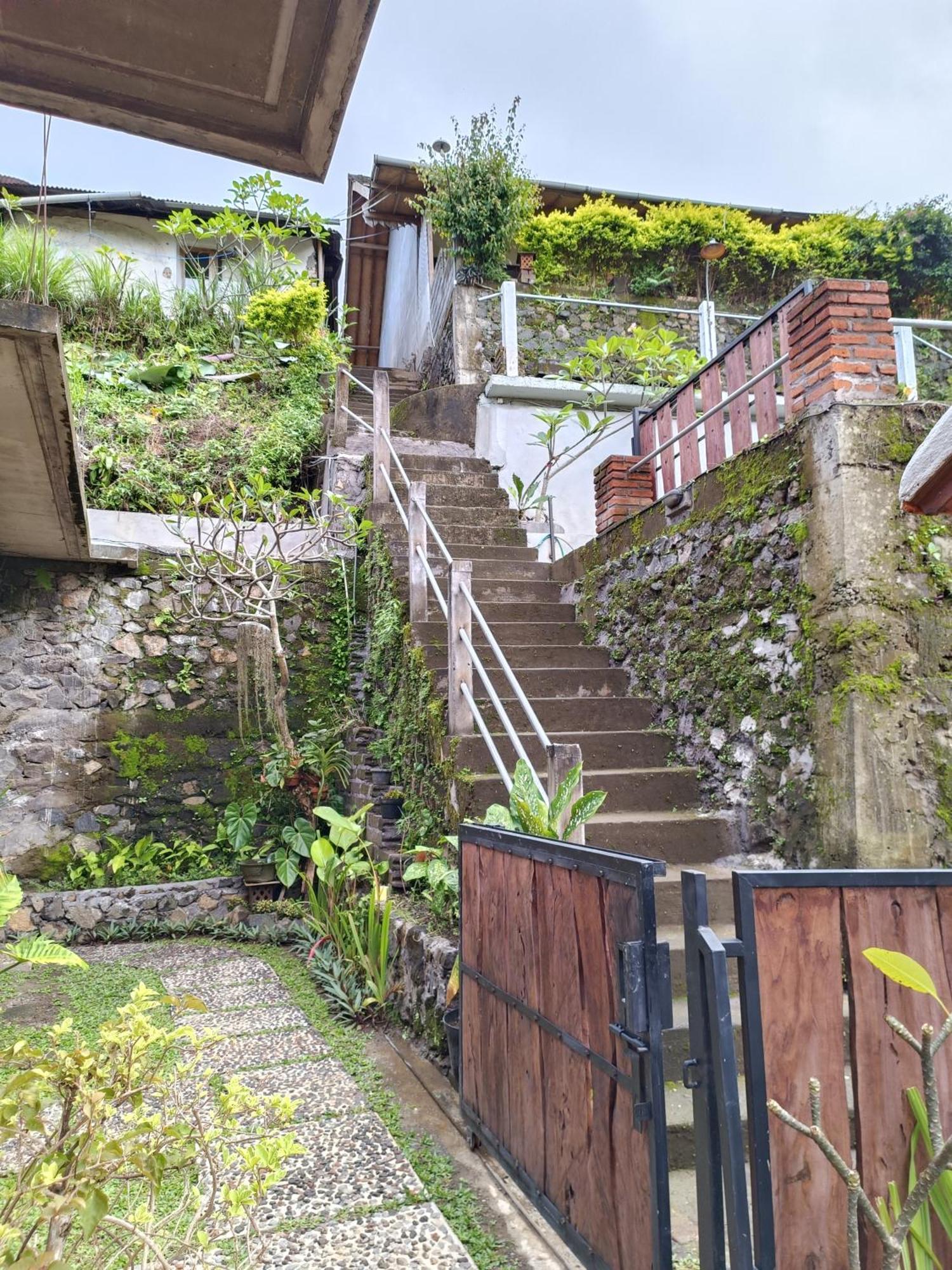 Made Oka Homestay And Warung Munduk Екстериор снимка