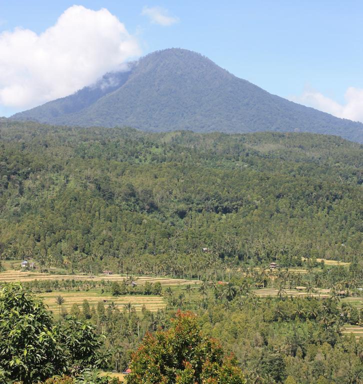 Made Oka Homestay And Warung Munduk Екстериор снимка